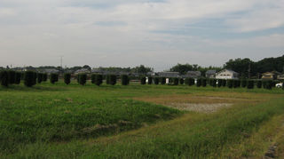 IMG_3994_copy.jpg