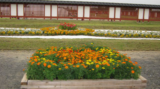 IMG_4021_copy.jpg